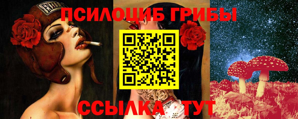 Галлюциногенные грибы ЛСД  Вход с VPN  Кизляр  Галлюциногенные грибы мухоморы 